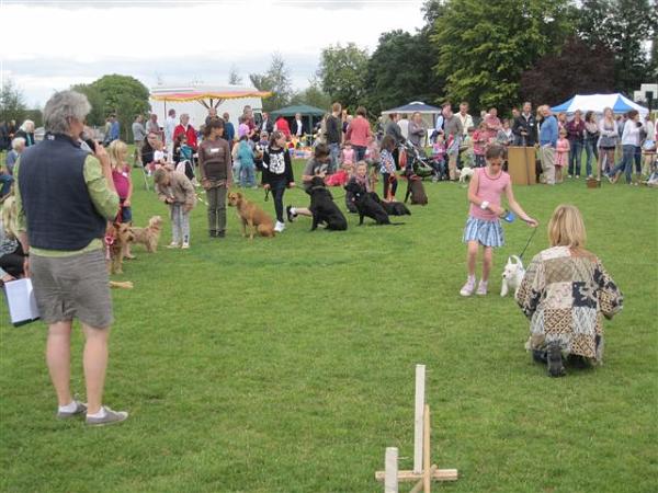 Fun Dog Show.JPG